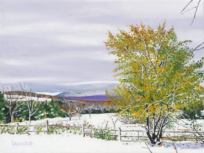 Apple Tree In Snow, 12x16