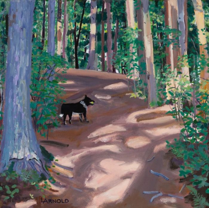 Fergus On Woods Walk, 12 X 12