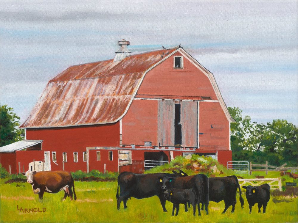 How Now Brown Cow, 12x16
