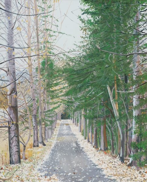 Judy’s Road