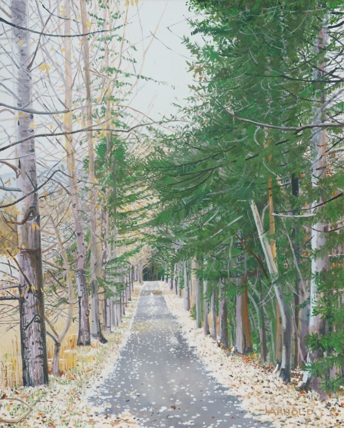 Judy's Road_20_ X 16_
