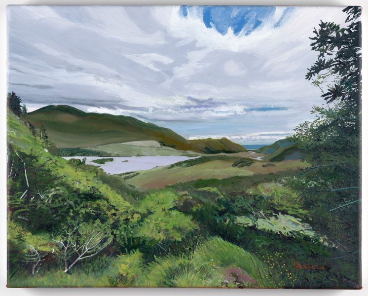 Killarney National Park, CO Kerry