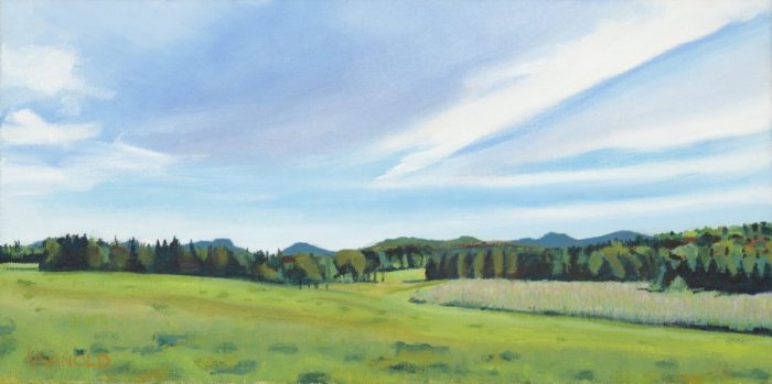 Laggis Farm Pasture, 8x16