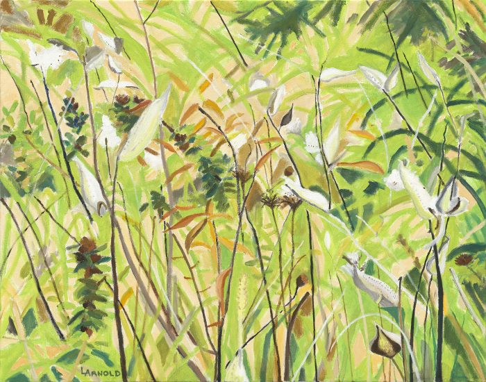 Milkweed 22x28