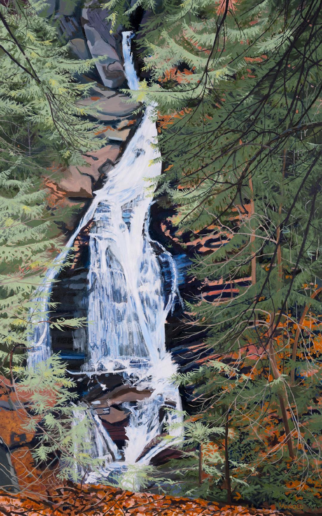 Moss Glen Falls, Stowe, VT48 x 30