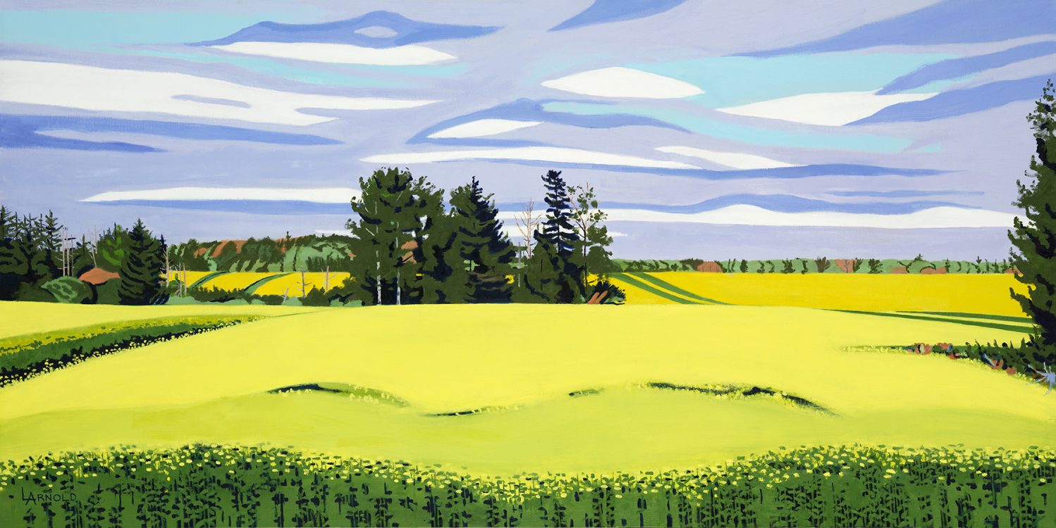 Mustard Field II, PEI, 24" x 48"