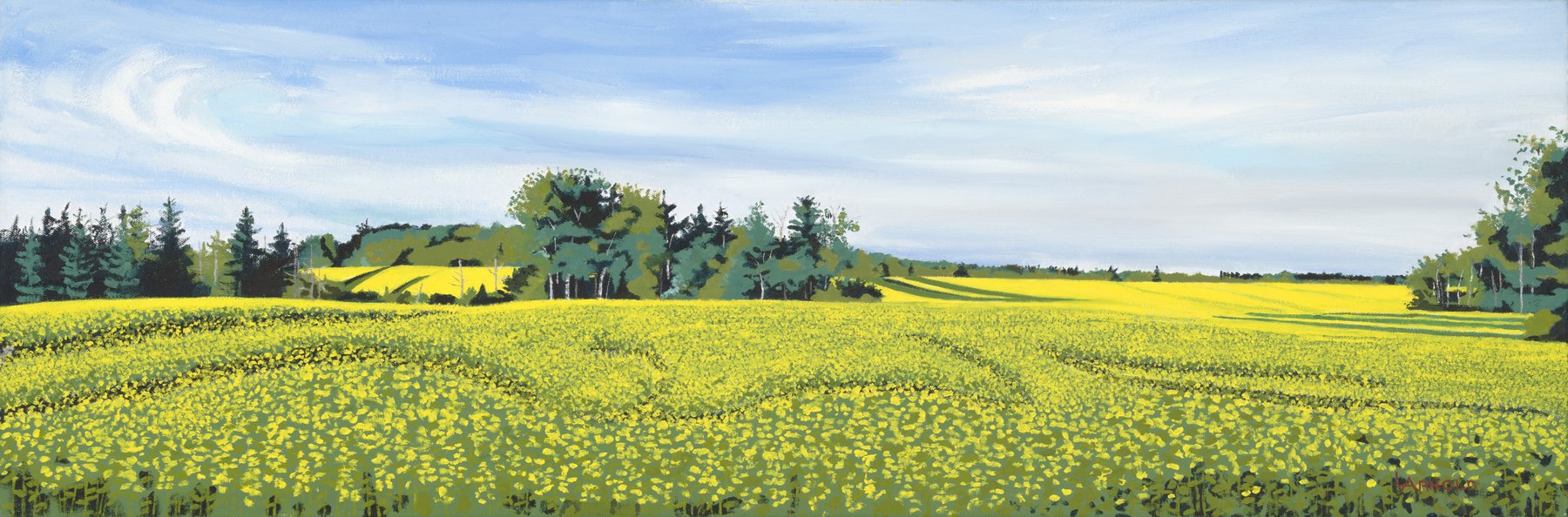 Mustard Field PEI, 12x36