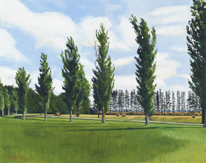 Poplar Allee PEI, 16x20