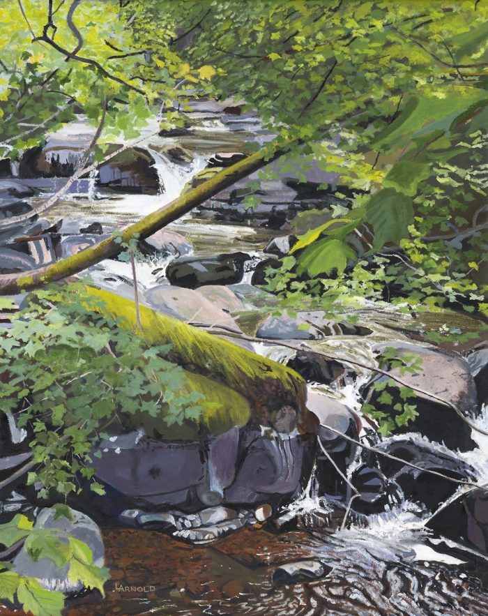 Stream, Lake District, Cumbria