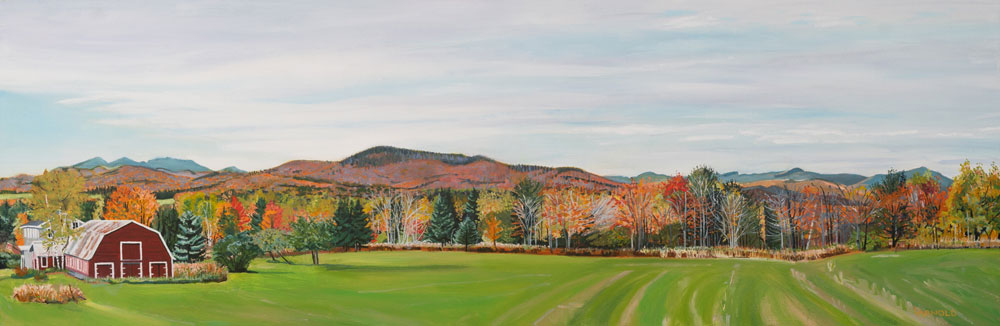 View From North Wolcott, VT, 12" x 36"